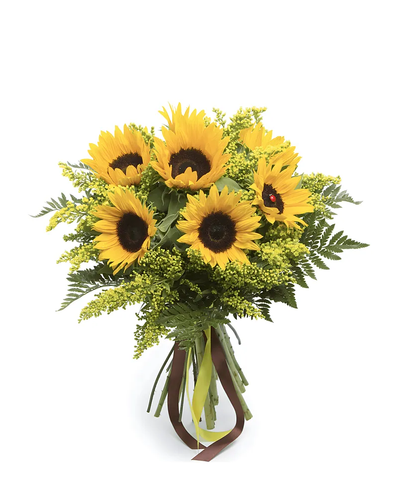 Stralende Zonnebloemen