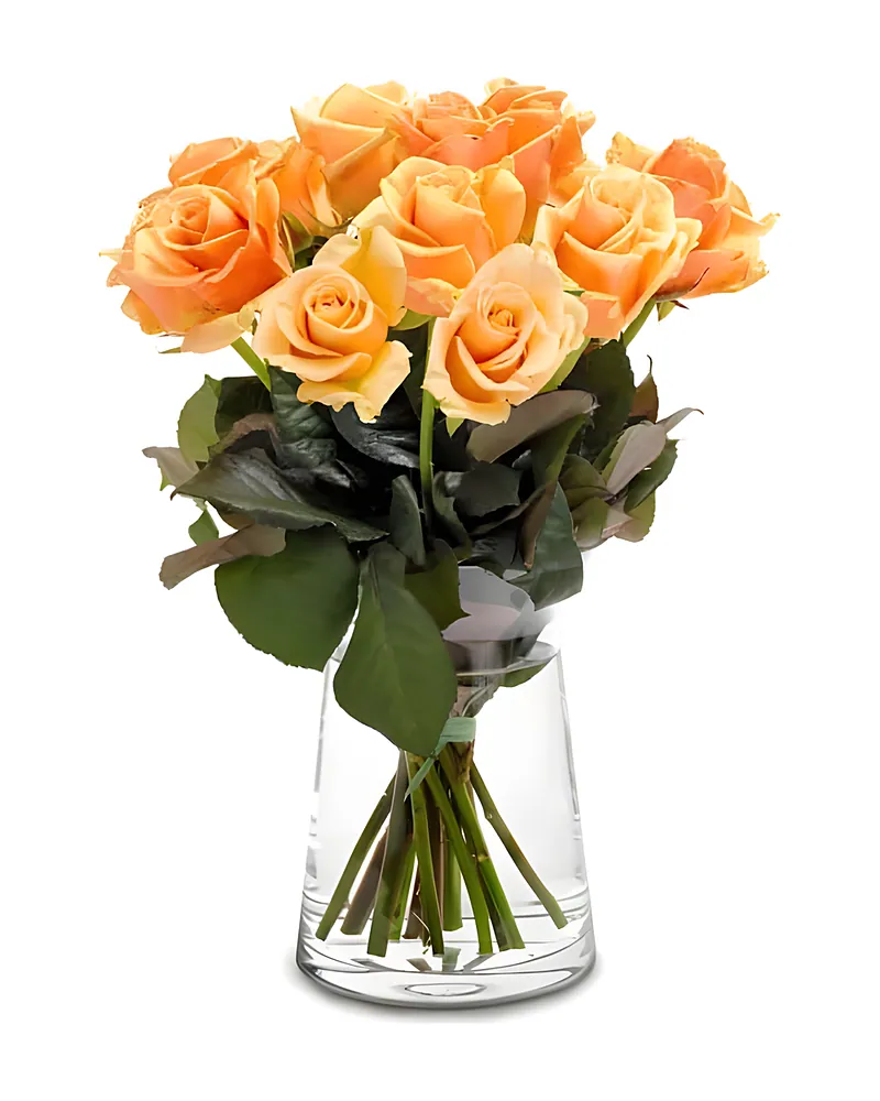 Honingkleurige rozen