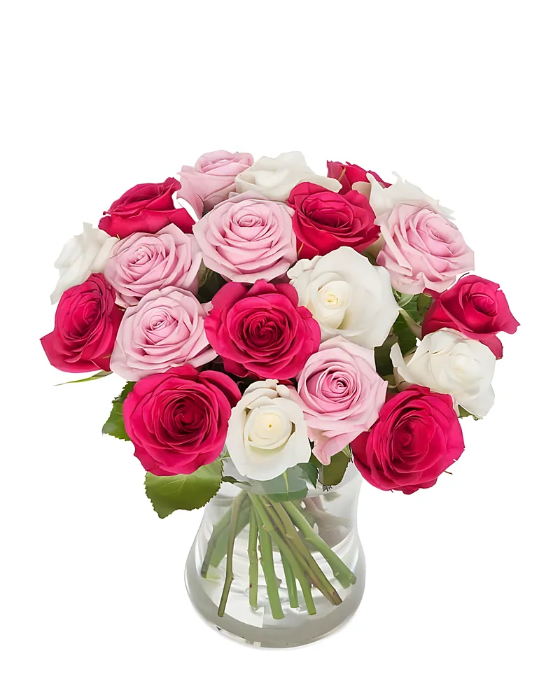 Temptation of Roses