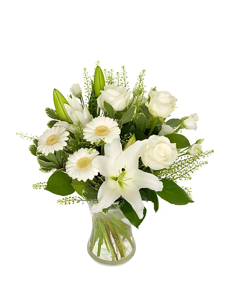 White Elegance