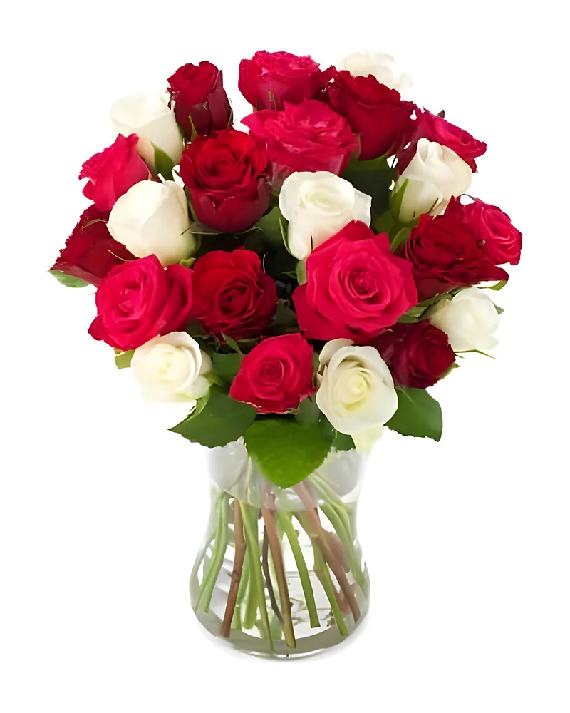 Liefdevolle Rozen