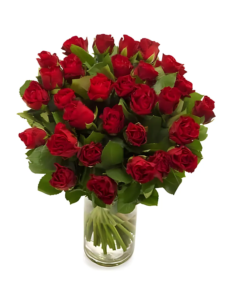 Rode Rozen