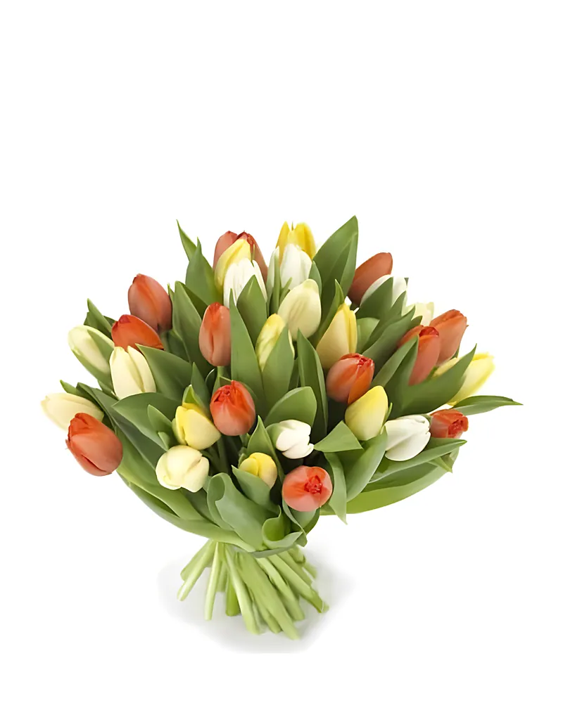Lichte Tulpen Gemengd