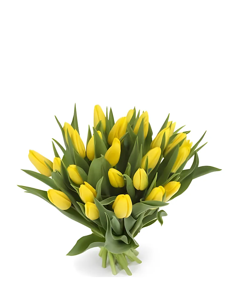 Gele Tulpen