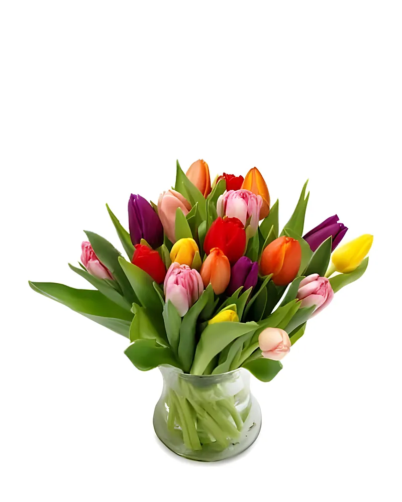 Kleurrijke Tulpen