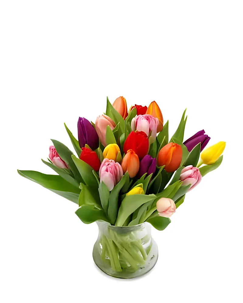 Kleurvolle Tulpen