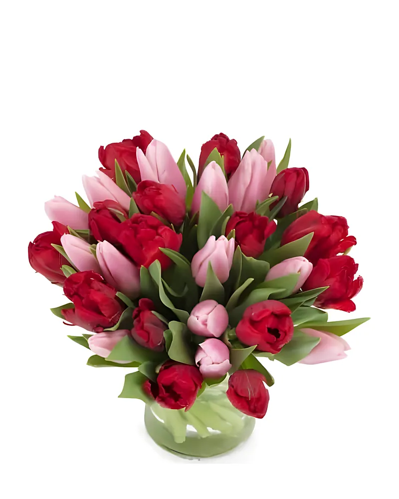 Liefdevolle Tulpen