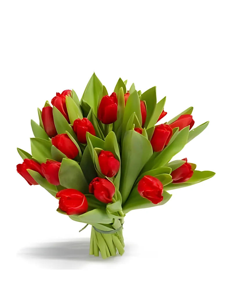 Rode Tulpen
