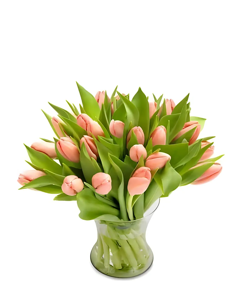 Roze Tulpen